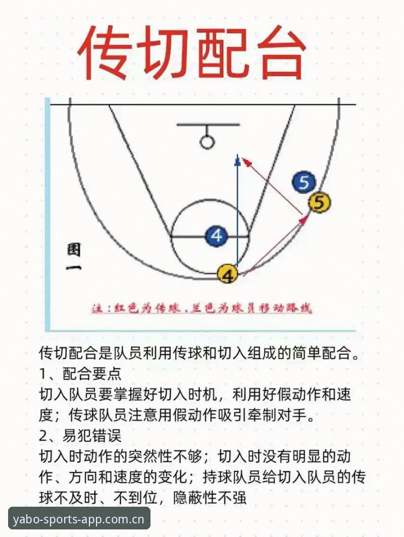 雅博体育使用教程教程 雅博体育使用教程教程 vs 官方指南:新手如何快速上手ABOBO移动端?全面对比与实操步骤解析